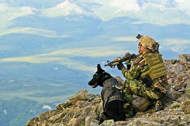 Reflexiones sobre el trato a animales