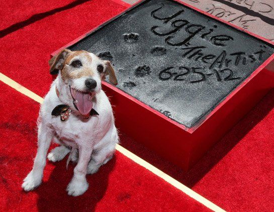 Uggie The Artist