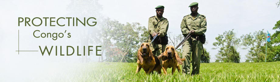 Adiestramiento para perros en Barrika, Bizkaia
